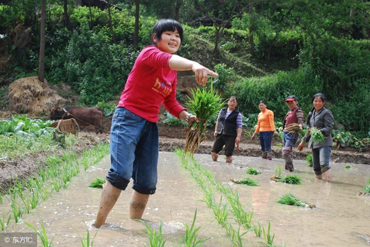 郑州80后美女刘娟，离开城市去农村生活，不知现在她怎样了？