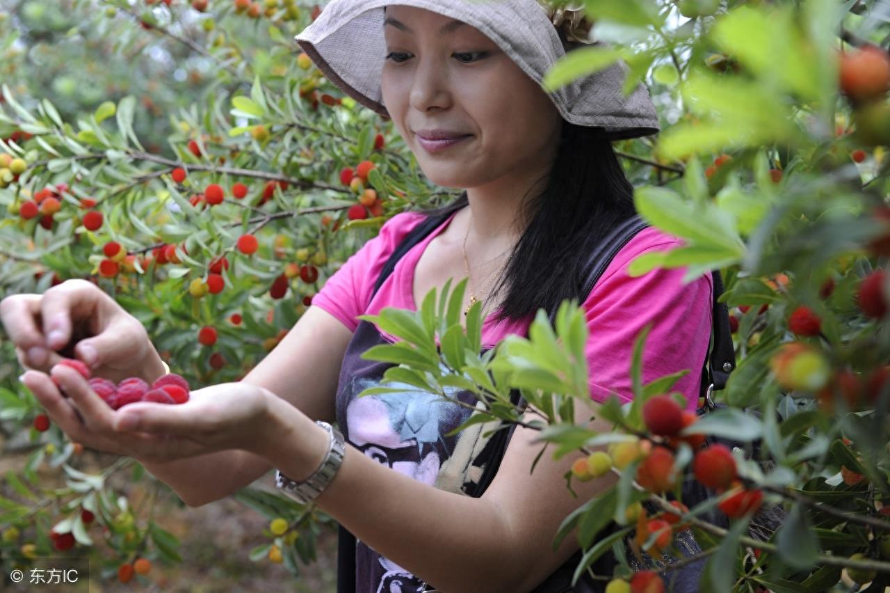 郑州80后美女刘娟，离开城市去农村生活，不知现在她怎样了？