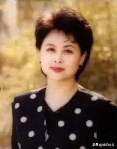 ​央视主持人肖晓琳：退休5个月后病逝他乡，26字遗言让人泪目