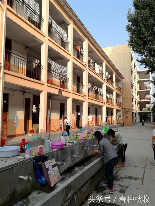 高中女生的寝室有点简单，并不华丽，显得朴素了点儿，单调了点儿