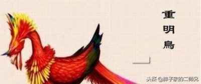 ​中国古代神话神兽系列-重明鸟