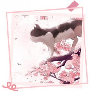 ​一分钟小知识：库里肖夫效应