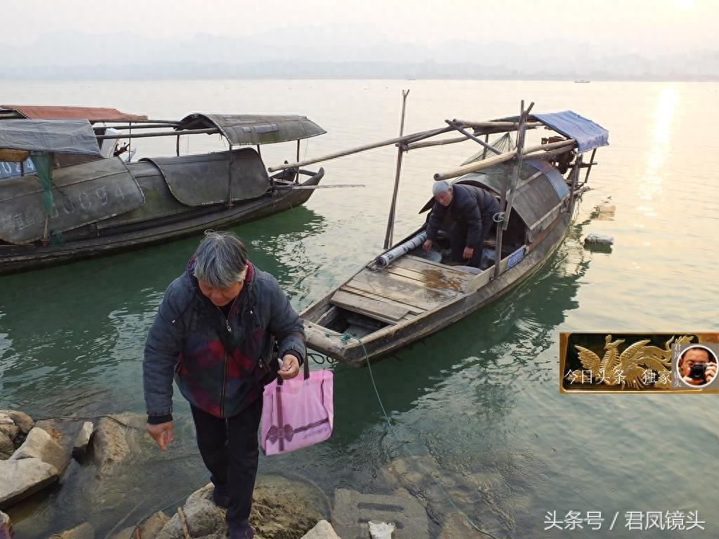 湖北宜昌：渔民在长江捕获2条鮰鱼，价值约600元！渔民称快绝种了