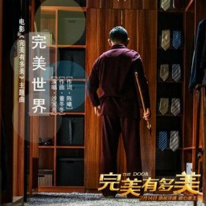 ​电影完美有多美主题曲首播 沙宝亮《完美世界》歌词试听