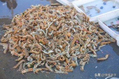​去天津必点的6道津菜，是“津菜之魂”，老板还以为你是天津人