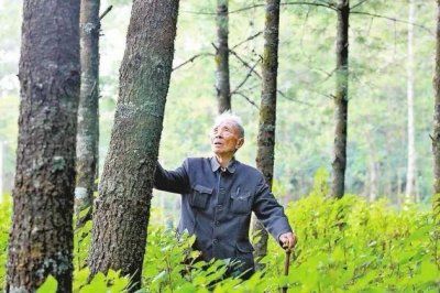 ​党旗飘扬映云岭丨杨善洲：一片林 一生情