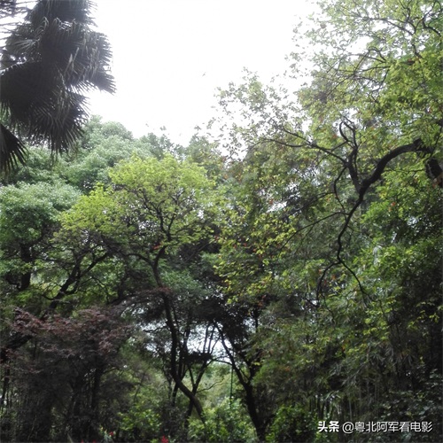 广州云溪生态公园风景