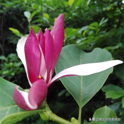 广州云溪生态公园风景