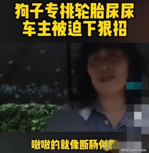 ​狗子只是闻了一下轮胎，立刻倒地抽搐而亡