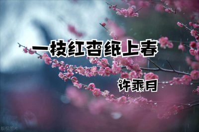 ​强推超好看的轻松甜宠古言文《一枝红杏纸上春》