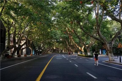 ​「游在杭州」之六：行走南山路，可品味杭州的历史与未来
