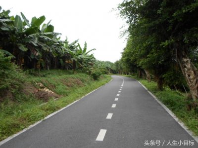 ​广东中山人气超旺的金钟水库竟藏着一条隐世静谧的山路