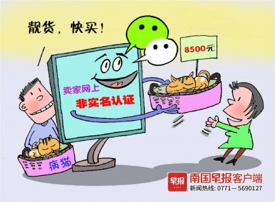 ​实名规则未完善！南宁女子微信交易买到病猫想起诉竟找不到卖家