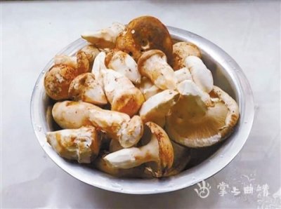 ​云南菌子-老人头