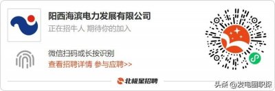 ​阳西海滨电力发展有限公司多个热门岗位公开招聘！