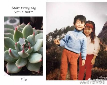 ​罗晋对唐嫣的表白，和我们爱的表达