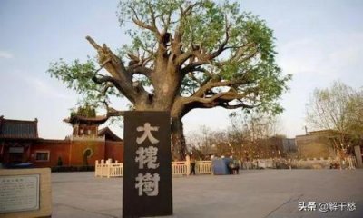 ​山西洪洞大槐树当年移民背后令人落泪的辛酸故事