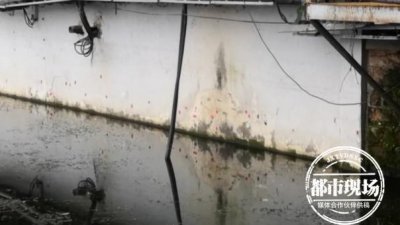 ​南昌一景区遍布“粉红泡泡”，专家：必须赶快处理