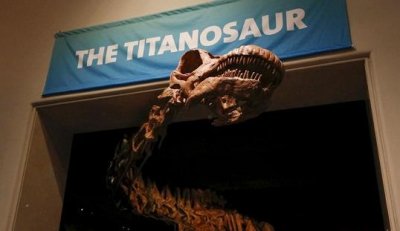 ​美国展出泰坦巨龙骨架体型巨大 近6米高展厅无法将其完全容纳