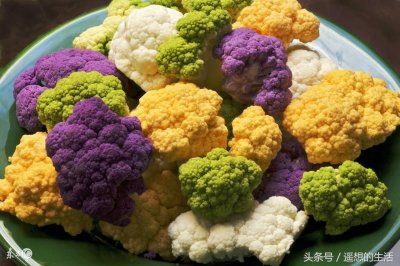 ​ins色彩，你见过彩色的花椰菜吗？