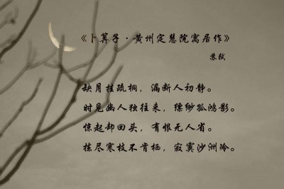 ​风华千古苏东坡：寂寞沙洲冷