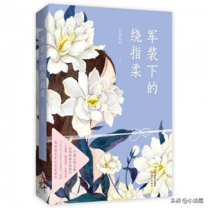 ​折纸蚂蚁的6本经典青春言情小说长评精推《军装下的绕指柔》