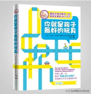 ​《你就是孩子最好的玩具》：深度解读情感引导式教育及现实意义