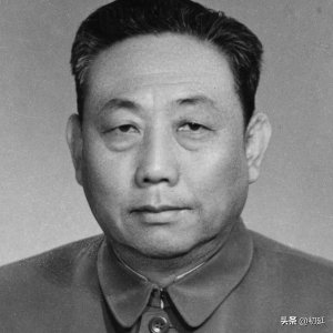 ​林枫：刘少奇的秘书，45岁当选为东北局副书记，养子是北大教授