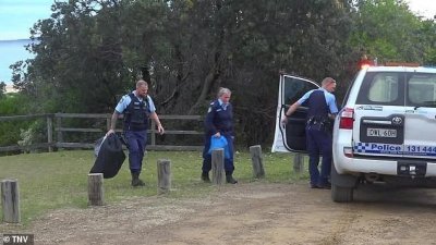 ​澳洲17岁男孩在海滩冲浪时被鲨鱼咬死，全身多处巨大齿印