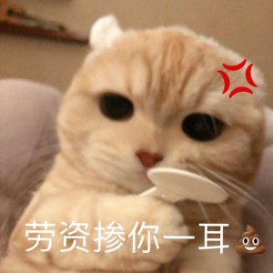 ​生气专用表情包