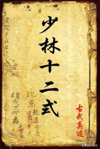 ​武功秘籍：少林十二式教学