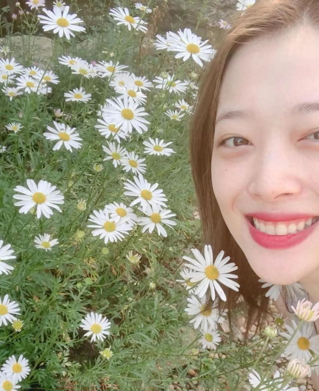 雪莉为什么自杀（雪莉为什么结束自己的生命）-