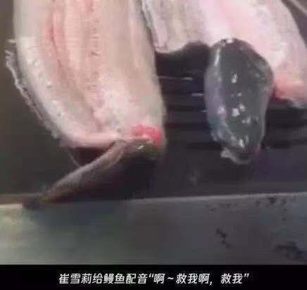 雪莉为什么自杀（雪莉为什么结束自己的生命）-