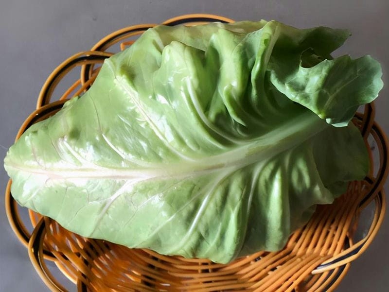 牛心菜跟包菜有什么区别（牛心菜和包菜的区别在哪里）