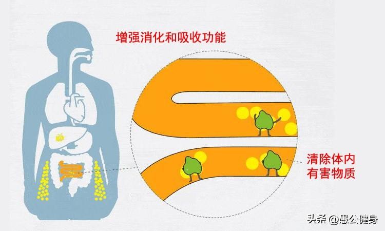 坚持跑步的13个好处（跑步的好处有哪些）