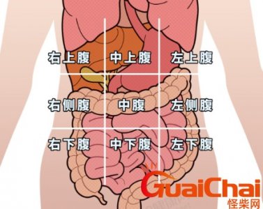 ​阑尾炎是哪个部位疼？腹部不同部位疼痛对应原因有哪些？