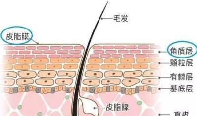 ​小腿皮肤痒怎么办(小腿皮肤瘙痒怎么治疗)