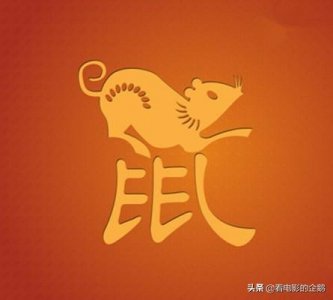 ​鼠年看鼠，盘点15部老鼠相关的电影