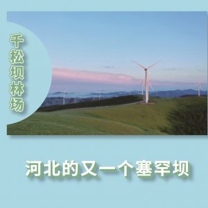 ​千松坝林场：河北的又一个塞罕坝