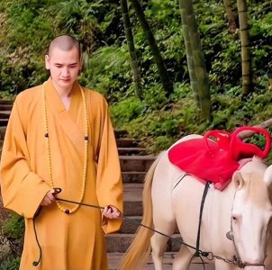 ​释明心：考上公务员，毅然出家为僧，慈眉善目背后，实则暗藏野心