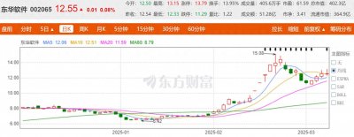 ​东华软件：多维协同，借势腾飞 ——AI 时代下的业绩洞察与未来展望