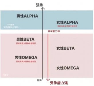 ​ABO世界观设定解读——性别话题的试验场