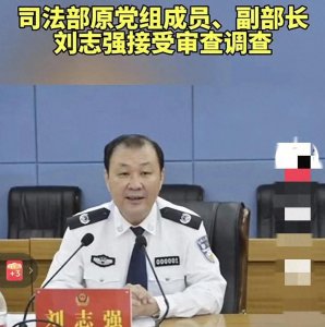 ​司法界“大佬”的陨落：刘志强的双面人生