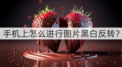 ​手机上怎么进行图片黑白反转？黑白转换妙招