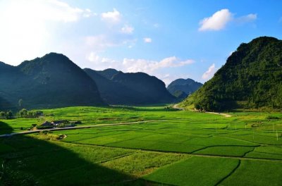 ​走进荔波茂兰，我带你穿越原始森林，探寻神秘仙境