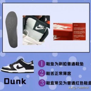 ​NIKE Dunk 、sb二者家族有何不同？