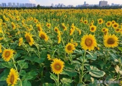 ​大同到腾冲自驾路线图大同到腾冲自驾路线图最新
