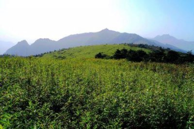 ​三亚旅游景点路线安排去三亚的旅游路线