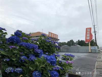 ​日本有个地名叫“采女”，它是什么意思？又有什么样的传说？