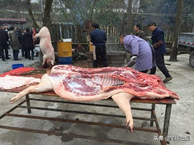 ​「年味」杀年猪吃刨汤肉迎接红红火火的春节来临（组图）